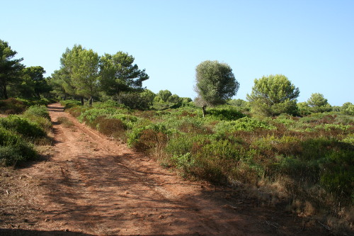 cala pequena